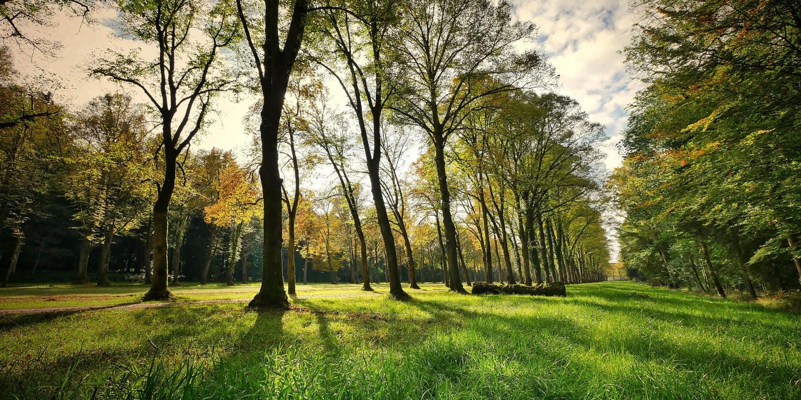 🌿🏡 Por qué Aravaca seguirá siendo una de las zonas más exclusivas para invertir en Madrid en 2026